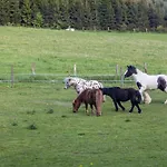 Weitblick Eslohe