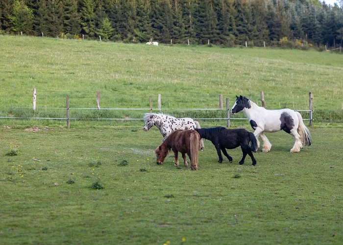 Weitblick * 에슬로헤